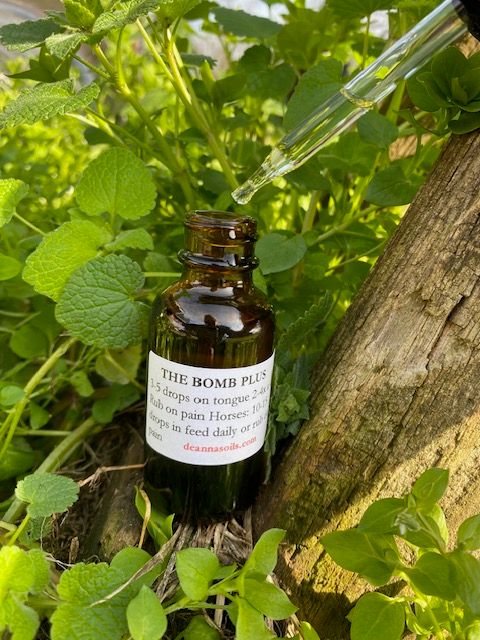Deanna Harrison Oils - Equine The Bomb Plus (Anti-Inflammatory/Pain)