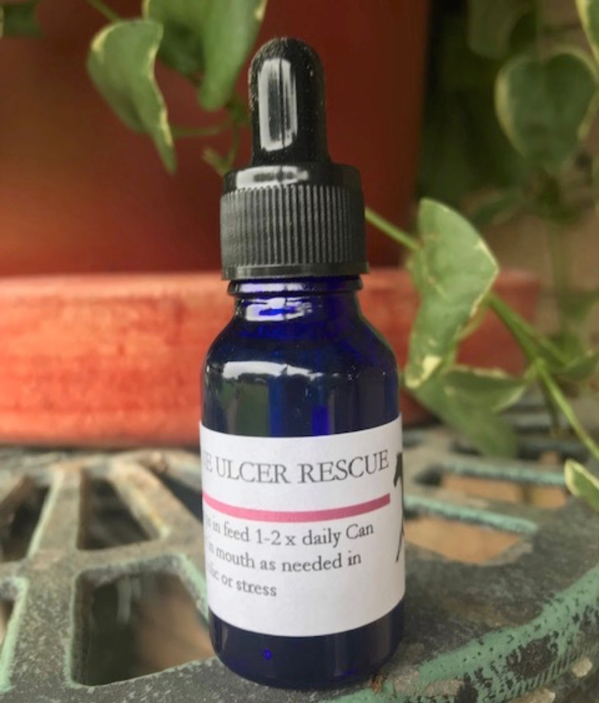 Deanna Harrison Oil - Equine Ulcer Rescue