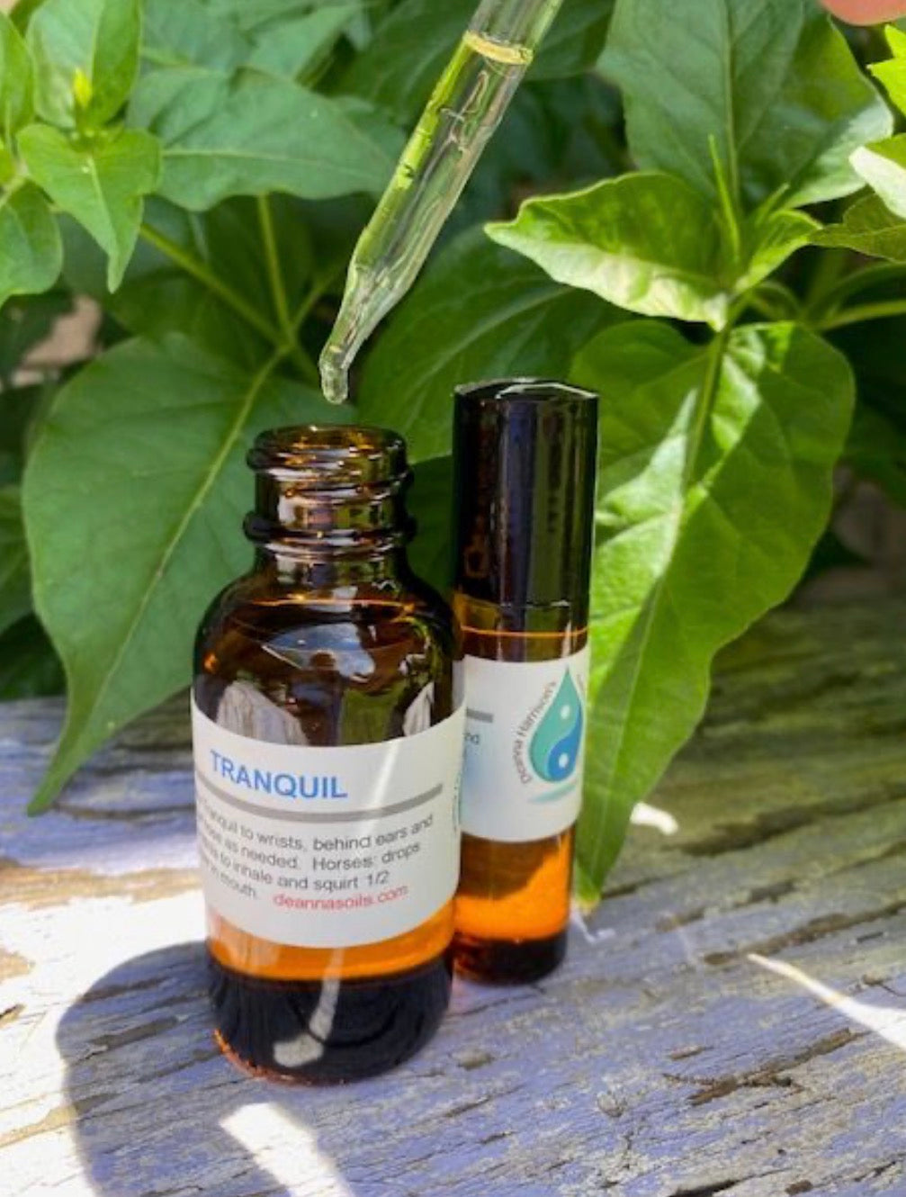 Deanna Harrison Oils - Tranquil