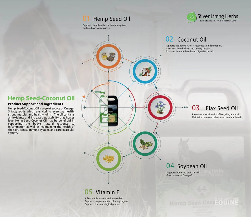SIlver Lining Herbs - Hemp Seed-Coconut Oil for Horses