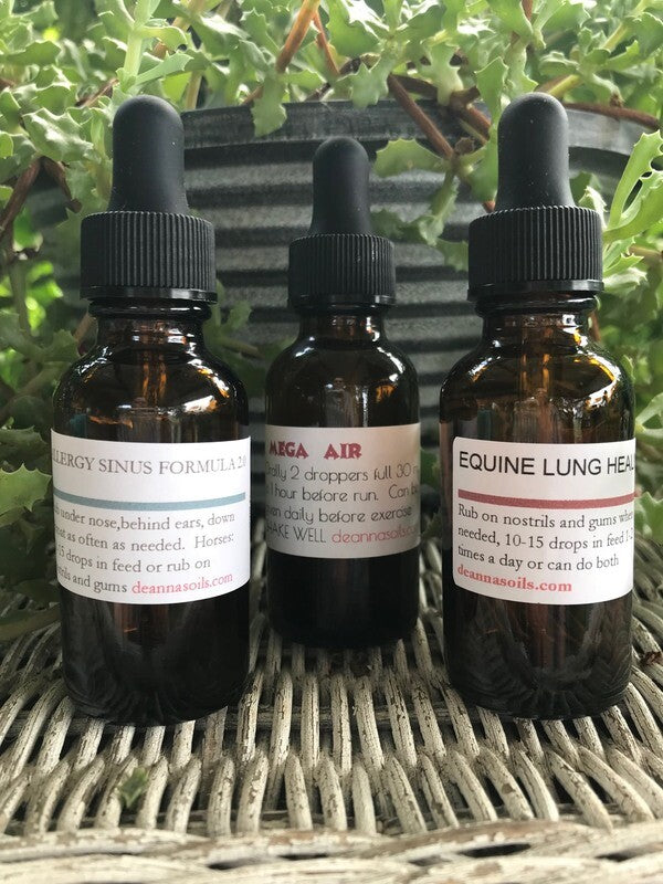 Deanna Harrison Oils - Air Supply Trio 10% Discount