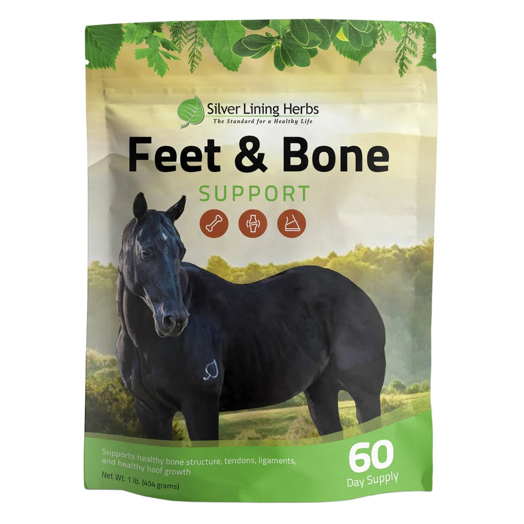 Silver Lining Herbs - Feet & Bone Support for Horses