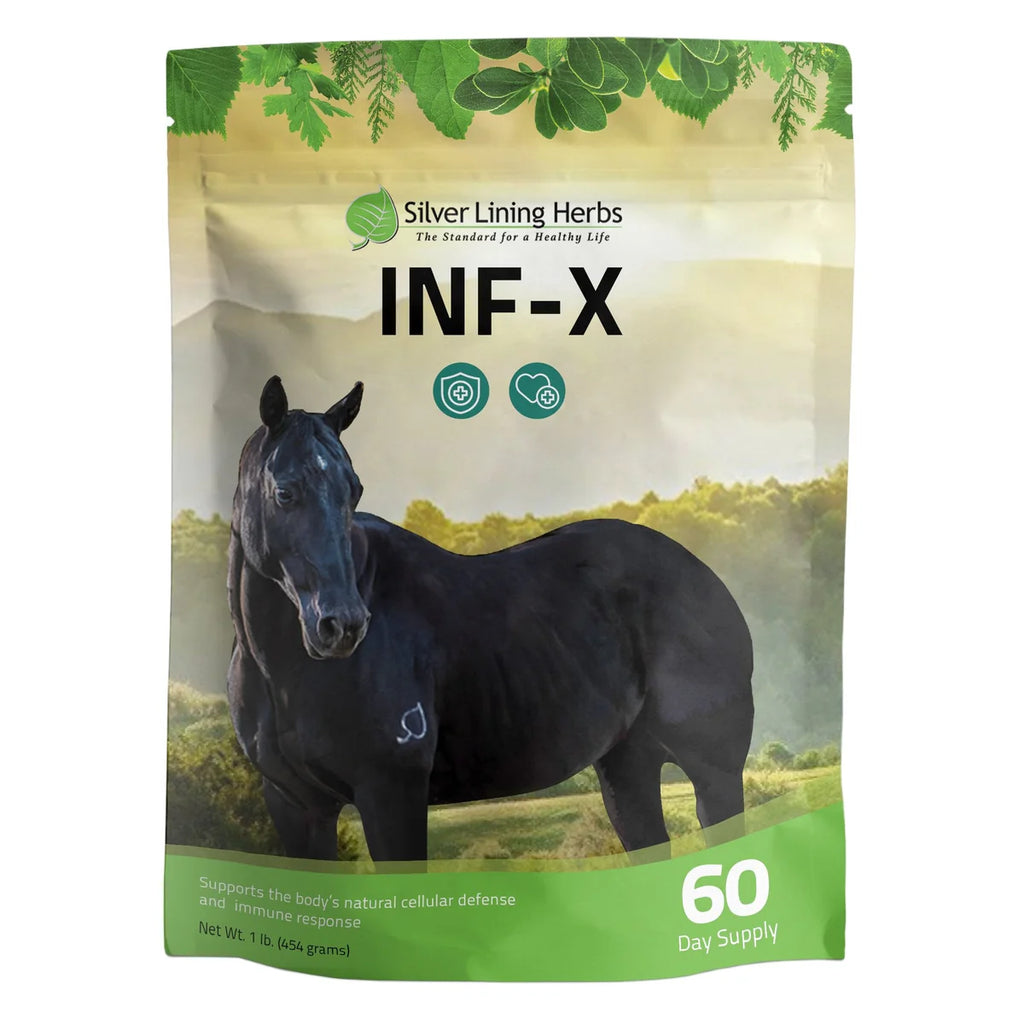 Silver Lining Herbs - INF-X