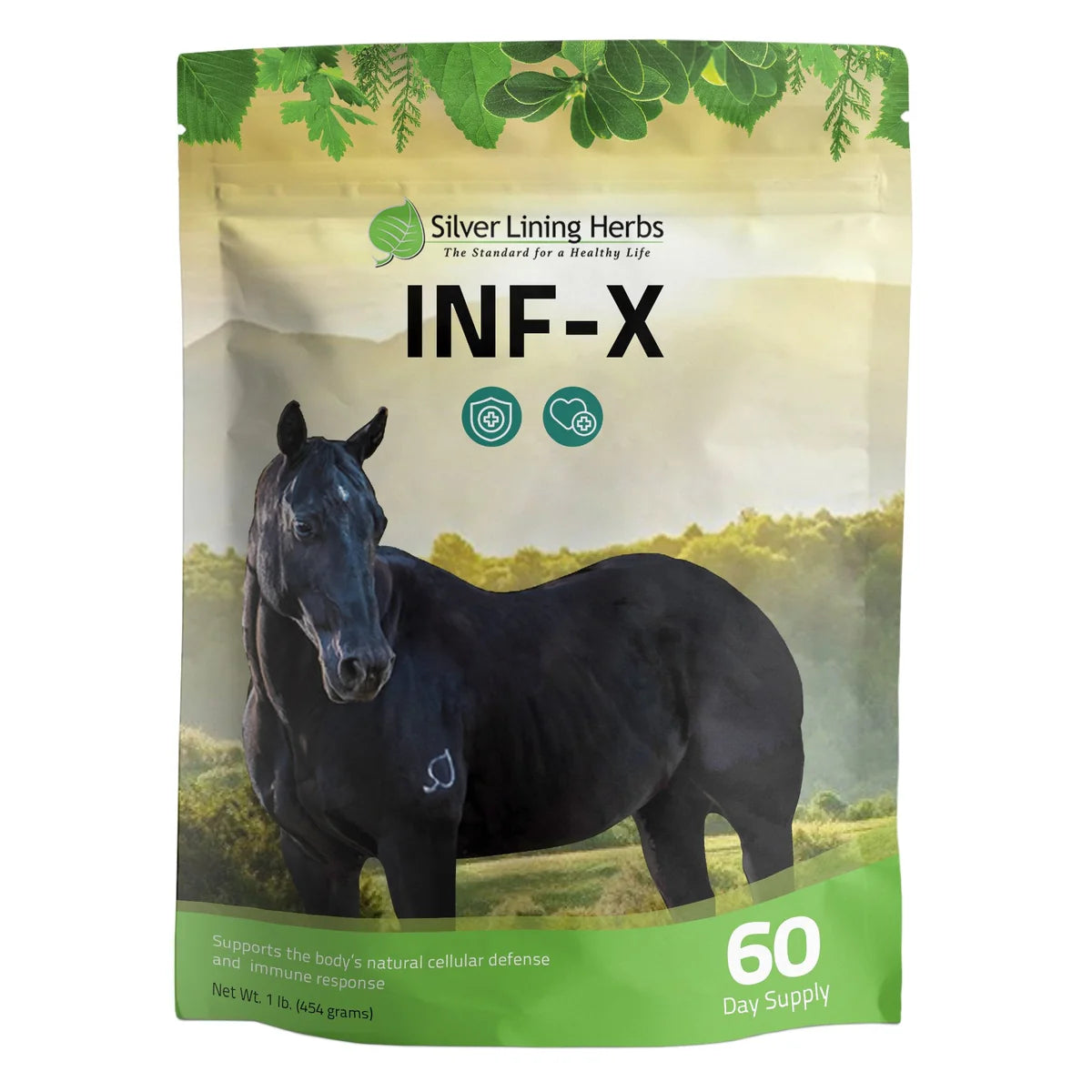 Silver Lining Herbs - INF-X