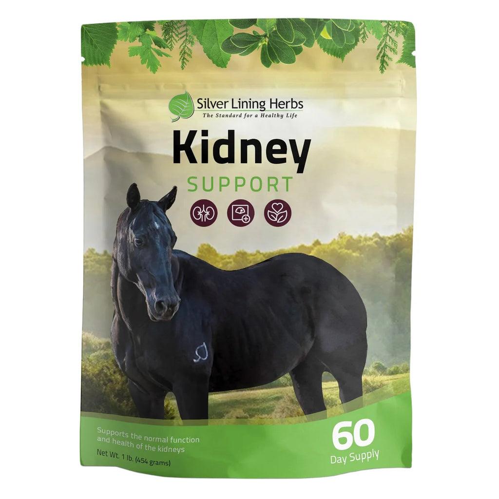 Silver Lining Herbs - Kidney Support for Horses