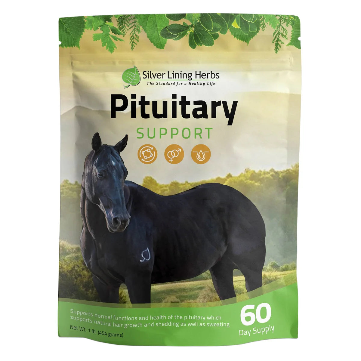 Silver Lining Herbs - Pituitary Support for Horses