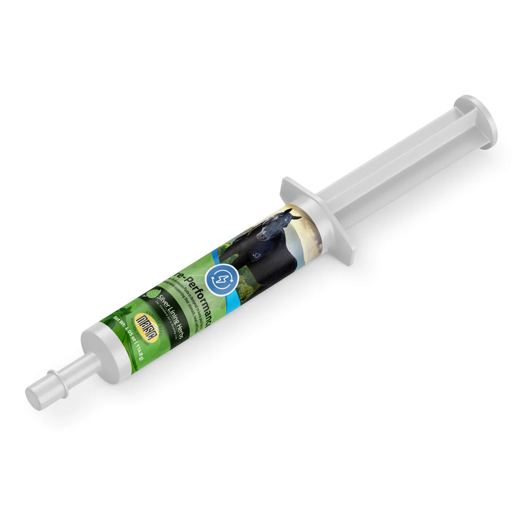 Silver Lining Herbs - Pre-Performance Paste for Horses